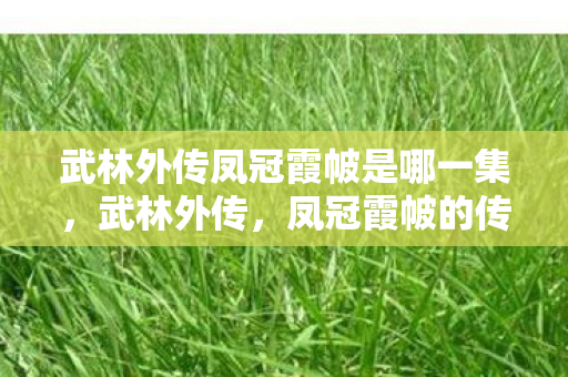 武林外传凤冠霞帔是哪一集，武林外传，凤冠霞帔的传奇故事