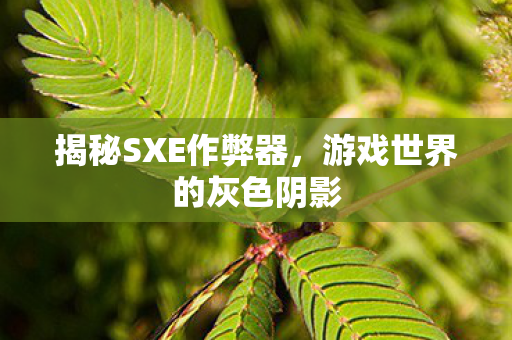 揭秘SXE作弊器，游戏世界的灰色阴影