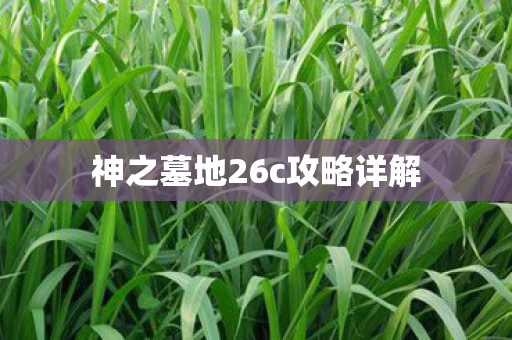 神之墓地26c攻略详解 神之墓地26c攻略详解