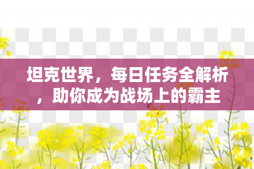 坦克世界，每日任务全解析，助你成为战场上的霸主