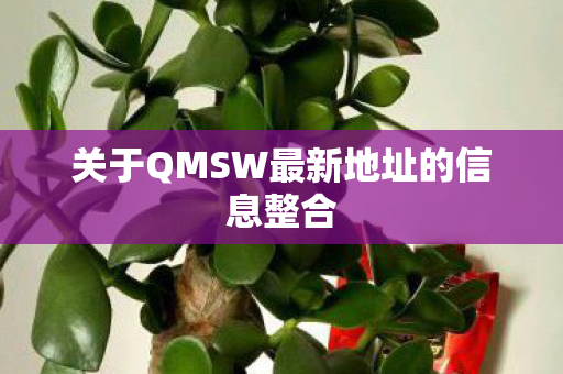 关于QMSW最新地址的信息整合