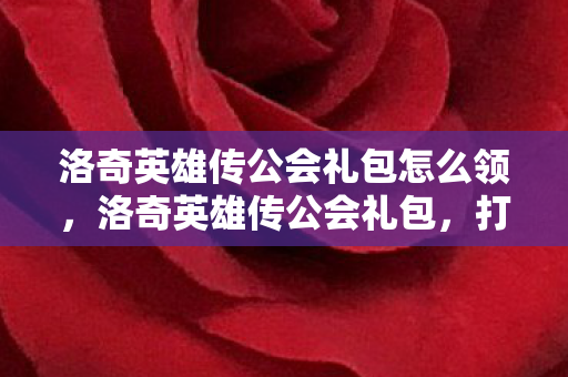洛奇英雄传公会礼包怎么领，洛奇英雄传公会礼包，打造最强公会，共享荣耀时刻