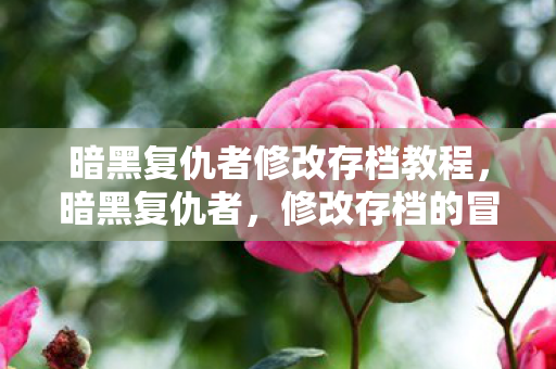 暗黑复仇者修改存档教程，暗黑复仇者，修改存档的冒险之旅