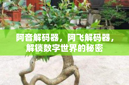 阿音解码器，阿飞解码器，解锁数字世界的秘密