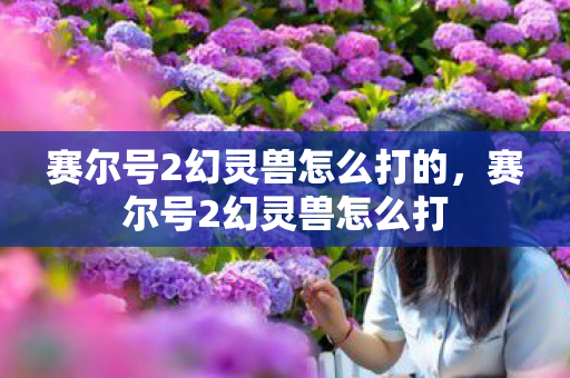 赛尔号2幻灵兽怎么打的,赛尔号2幻灵兽怎么打 赛尔号2幻灵兽怎么打的,赛尔号2幻灵兽怎么打