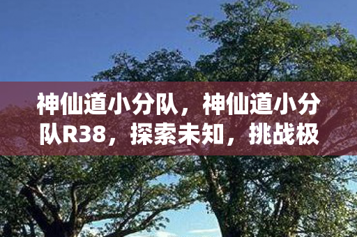 神仙道小分队，神仙道小分队R38，探索未知，挑战极限