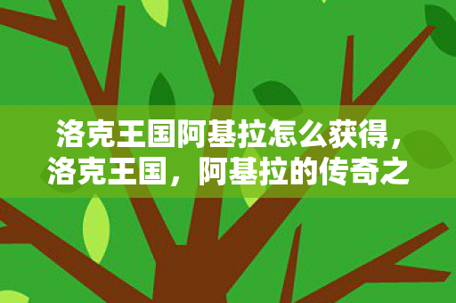 洛克王国阿基拉怎么获得，洛克王国，阿基拉的传奇之旅