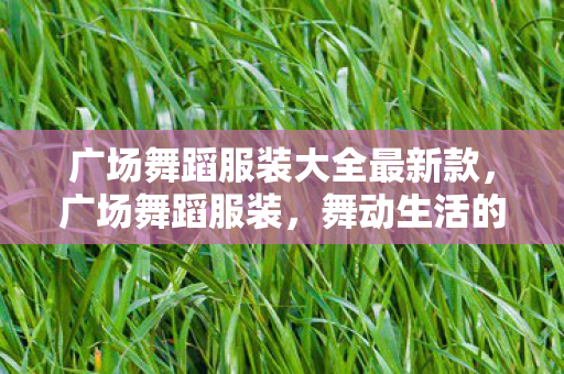 广场舞蹈服装大全最新款，广场舞蹈服装，舞动生活的色彩