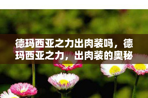 德玛西亚之力出肉装吗，德玛西亚之力，出肉装的奥秘与策略