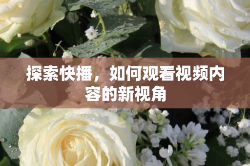探索快播，如何观看视频内容的新视角