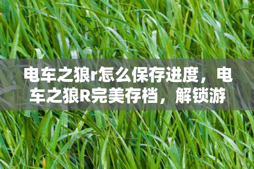 电车之狼r怎么保存进度，电车之狼R完美存档，解锁游戏全成就的秘密