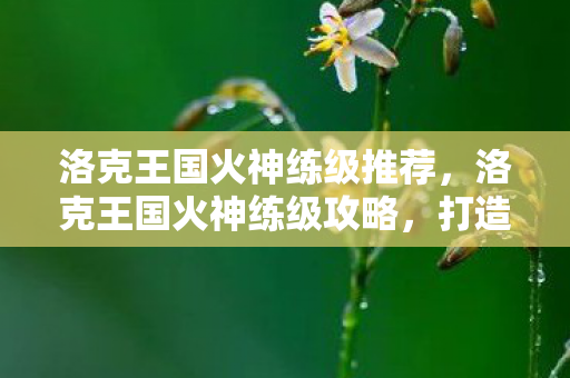 洛克王国火神练级推荐，洛克王国火神练级攻略，打造最强火系精灵