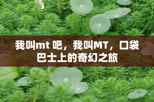 我叫mt 吧，我叫MT，口袋巴士上的奇幻之旅