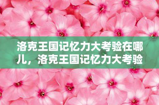 洛克王国记忆力大考验在哪儿，洛克王国记忆力大考验在哪？揭秘隐藏的挑战与奖励