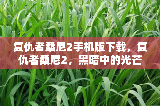 复仇者桑尼2手机版下载，复仇者桑尼2，黑暗中的光芒