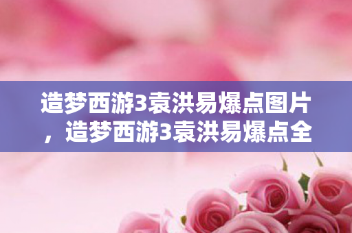 造梦西游3袁洪易爆点图片，造梦西游3袁洪易爆点全解析