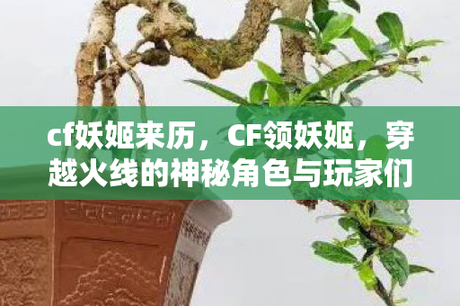 cf妖姬来历，CF领妖姬，穿越火线的神秘角色与玩家们的期待
