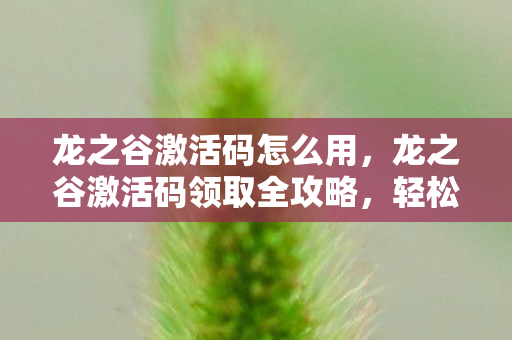 龙之谷激活码怎么用，龙之谷激活码领取全攻略，轻松获取游戏特权