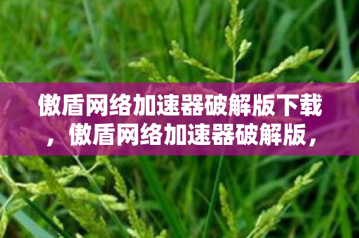 傲盾网络加速器破解版下载，傲盾网络加速器破解版，网络加速的灰色地带