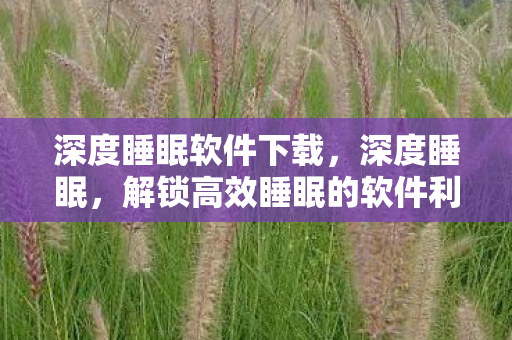 深度睡眠软件下载，深度睡眠，解锁高效睡眠的软件利器