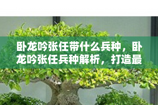 卧龙吟张任带什么兵种，卧龙吟张任兵种解析，打造最强战斗力的关键