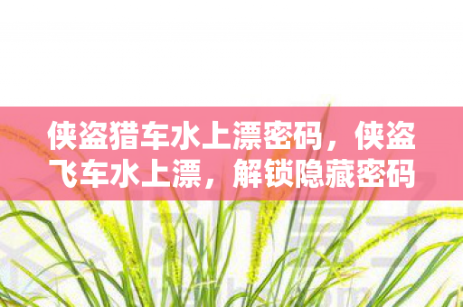 侠盗猎车水上漂密码，侠盗飞车水上漂，解锁隐藏密码的奇幻之旅