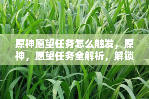 原神愿望任务怎么触发，原神，愿望任务全解析，解锁隐藏成就与丰厚奖励