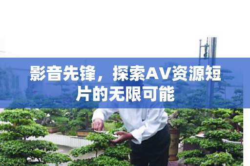 影音先锋，探索AV资源短片的无限可能
