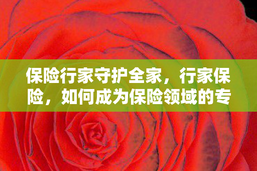 保险行家守护全家，行家保险，如何成为保险领域的专家
