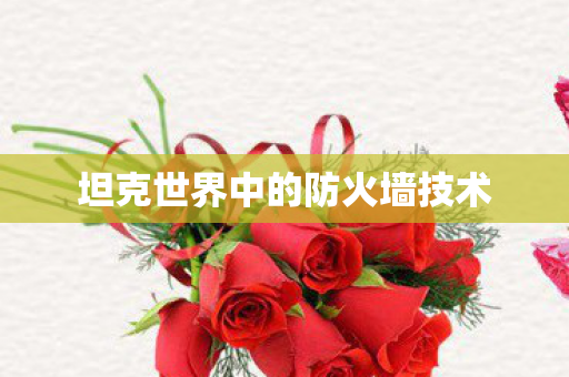 坦克世界中的防火墙技术 坦克世界中的防火墙技术
