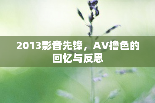2013影音先锋，AV撸色的回忆与反思