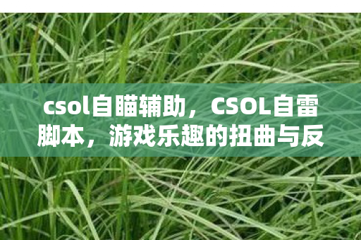 csol自瞄辅助，CSOL自雷脚本，游戏乐趣的扭曲与反思
