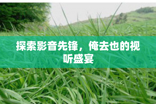 探索影音先锋，俺去也的视听盛宴