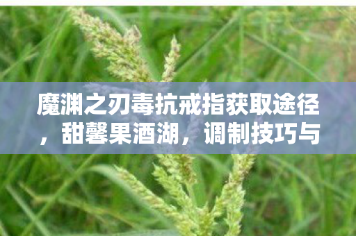 魔渊之刃毒抗戒指获取途径，甜馨果酒湖，调制技巧与品鉴指南