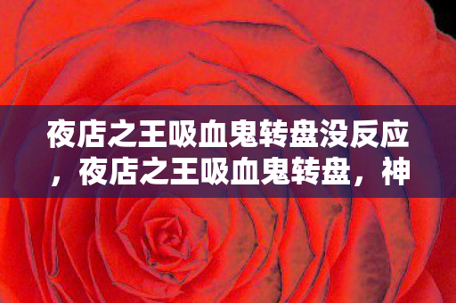 夜店之王吸血鬼转盘没反应，夜店之王吸血鬼转盘，神秘与狂欢的交织