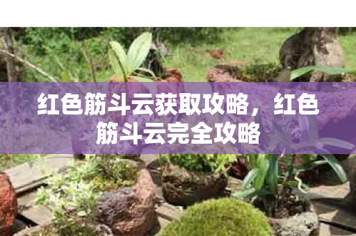 红色筋斗云获取攻略，红色筋斗云完全攻略