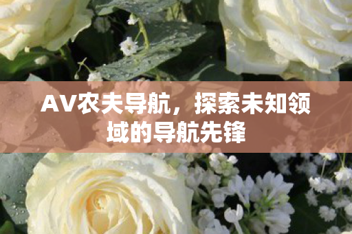 AV农夫导航，探索未知领域的导航先锋