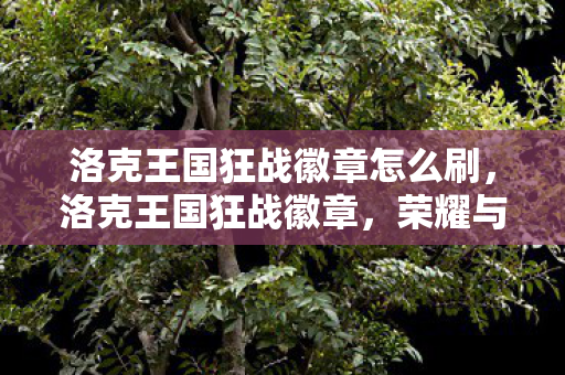 洛克王国狂战徽章怎么刷，洛克王国狂战徽章，荣耀与力量的象征
