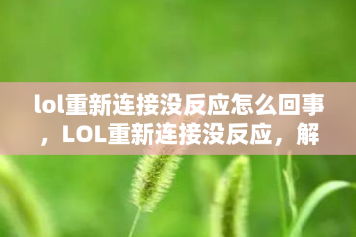 lol重新连接没反应怎么回事，LOL重新连接没反应，解决方法与原因分析