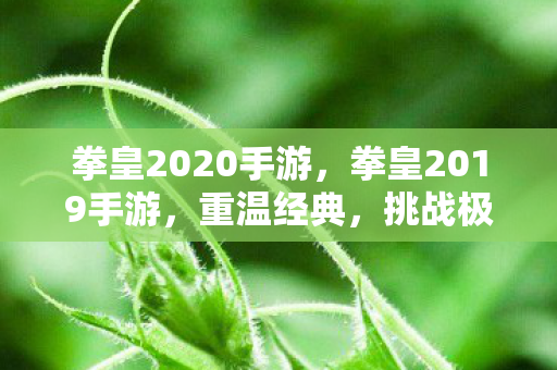 拳皇2020手游，拳皇2019手游，重温经典，挑战极限