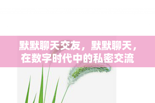 默默聊天交友，默默聊天，在数字时代中的私密交流