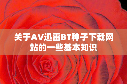 关于AV迅雷BT种子下载网站的一些基本知识