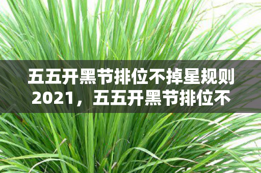 五五开黑节排位不掉星规则2021，五五开黑节排位不掉星规则详解