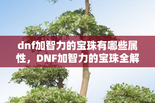 dnf加智力的宝珠有哪些属性,DNF加智力的宝珠全解析 dnf加智力的宝珠有哪些属性,DNF加智力的宝珠全解析