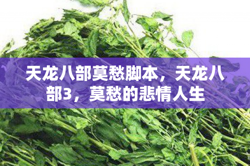 天龙八部莫愁脚本，天龙八部3，莫愁的悲情人生