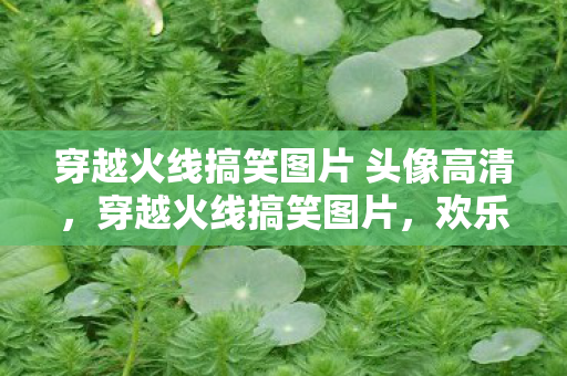 穿越火线搞笑图片 头像高清，穿越火线搞笑图片，欢乐与欢笑并存