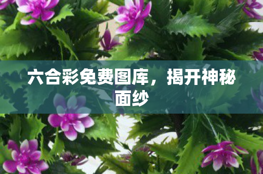 六合彩免费图库，揭开神秘面纱
