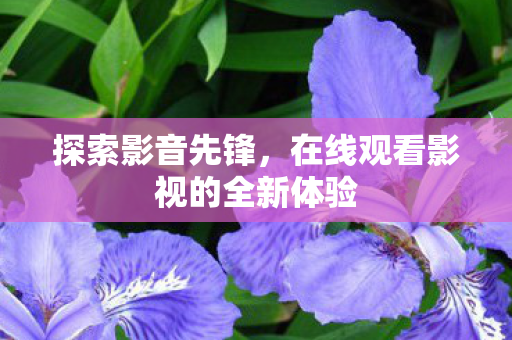 探索影音先锋,在线观看影视的全新体验 探索影音先锋,在线观看影视的全新体验
