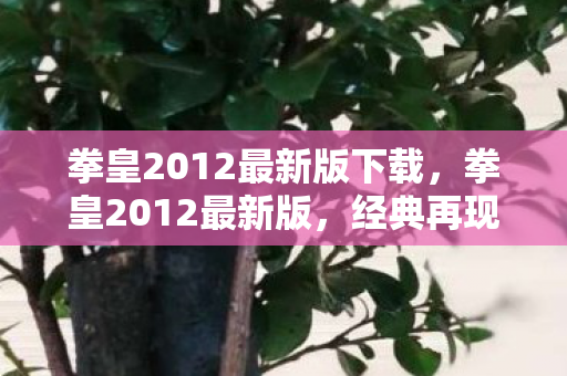 拳皇2012最新版下载，拳皇2012最新版，经典再现，全新体验