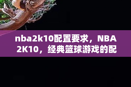 nba2k10配置要求，NBA 2K10，经典篮球游戏的配置需求与体验
